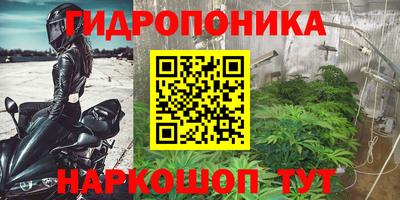 MESCALINE Кингисепп