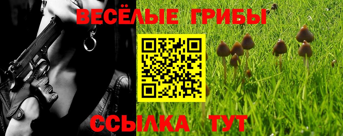 Псилоцибиновые грибы мухоморы  где найти наркотики  Крымск  Вход с VPN 