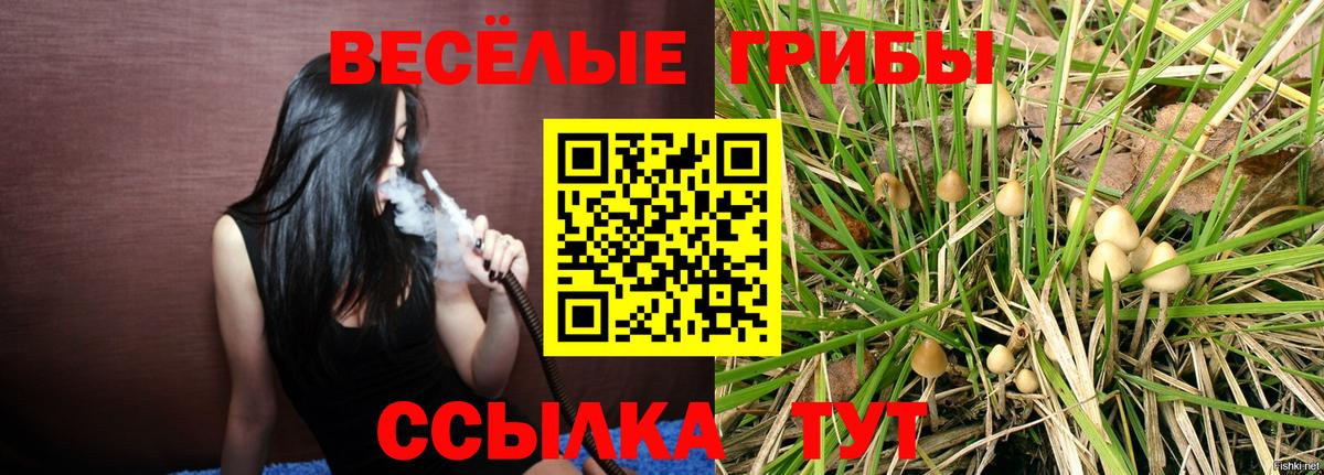 Псилоцибиновые грибы Cubensis Крымск